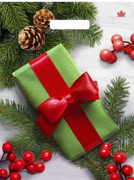 НГ Пакет с вырубной ручкой (31х40)-60 Калина в подарок 50/500