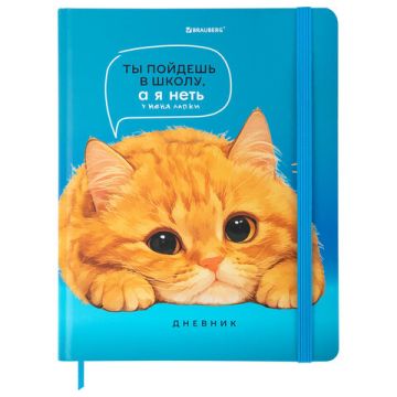 Дневник 1-11кл 40л (твердый) матовая ламинация Котик 1/36 