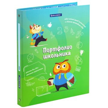 Папка портфолио школьника 4 кольца 20 файлов 10 вкладышей 7БЦ матовая BRAUBERG 1/10