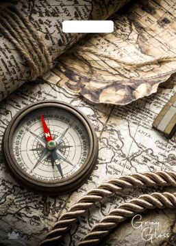 Пакет с вырубной ручкой (31,5х43)-50 Грэй Глосс Карта Тико 50/500