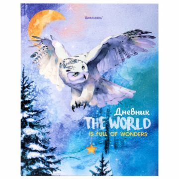 Дневник 1-11кл 40л (твердый) глянц ламинация Сова 1/28 