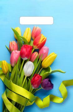 Пакет с вырубной ручкой (20х30)-30 Тюльпаны на голубом 100/3000