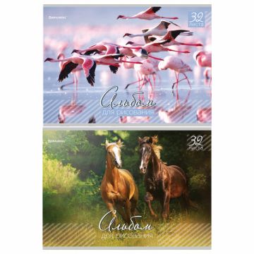 Альбом для рисования 32л А4 обложка мел карт скоба Живая Природа BRAUBERG 1/40 