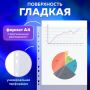 Перфофайлы А4 100мкм перфорированные  гладкие 50шт BRAUBERG 1/20