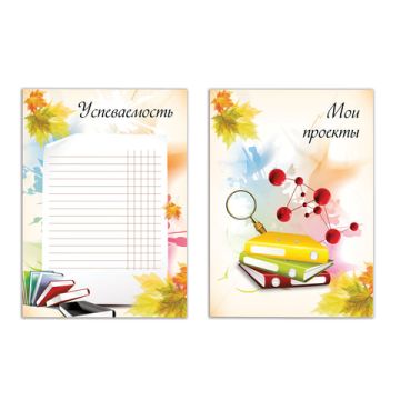 Портфолио ШКОЛЬНИКА 32л 30 разделов МОЕ ПОРТФОЛИО BRAUBERG 1/5/40