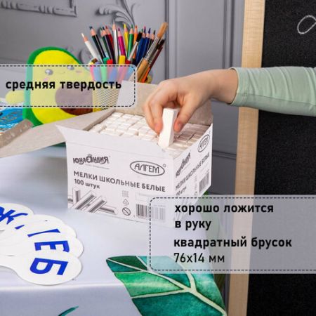 Мелки школьные белые Алгем+ Юнландия 100/800