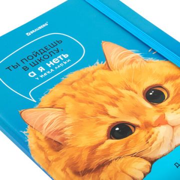 Дневник 1-11кл 40л (твердый) матовая ламинация Котик 1/36 (Клиент)