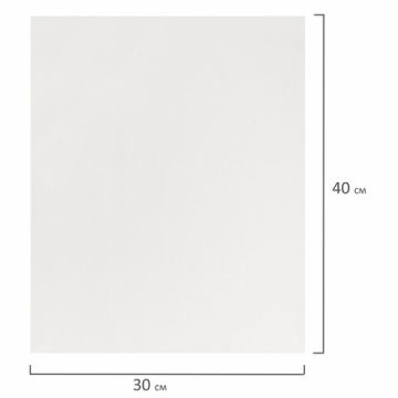 Холст на подрамнике BRAUBERG ART DEBUT 30х40см грунтованный 100% хлопок мелкое зерно 1/1 (Клиент)