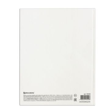 Дневник 1-11кл 40л (твердый) матовая ламинация Белый 1/28
