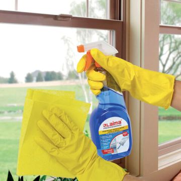 Средство для мытья стекол и зеркал 500мл триггер ЛАЙМА PROFESSIONAL 1/12