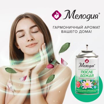 Картридж аэрозольный 250мл МЕЛОДИЯ После дождя для автом освеж универ сух расп 1/6 (клиент)