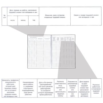 Книга Учета движения трудовых книжек и вкладышей 48л А4 210х290мм картон офсет 1/10 (вывод)